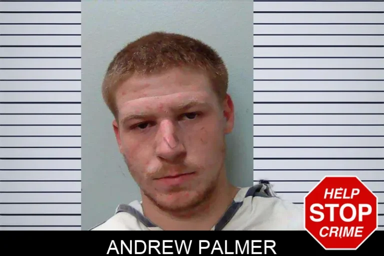 Andrew Palmer
