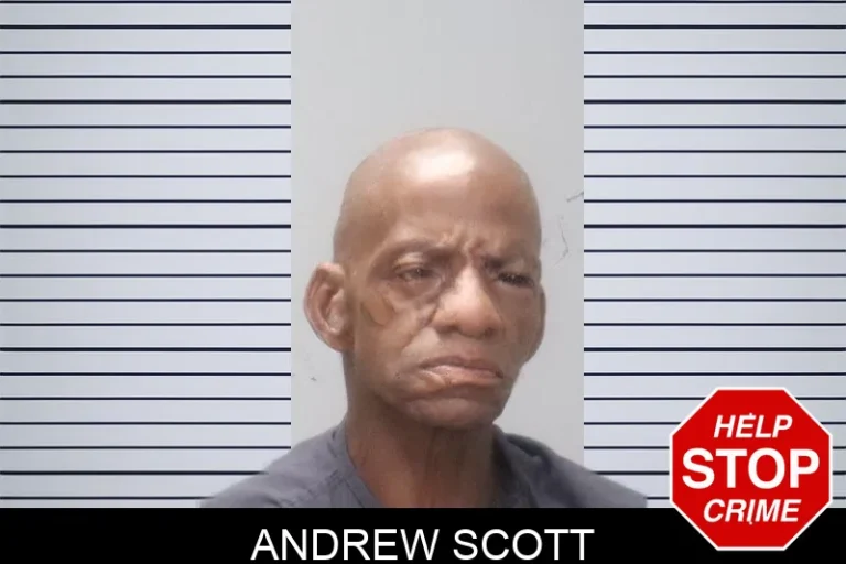 Andrew Scott