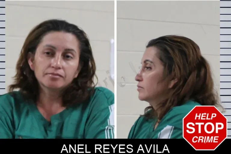 Anel Reyes Avila
