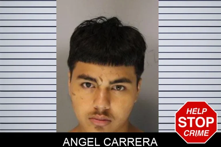 Angel Carrera mugshot – Hall County , Georgia Angel Carrera