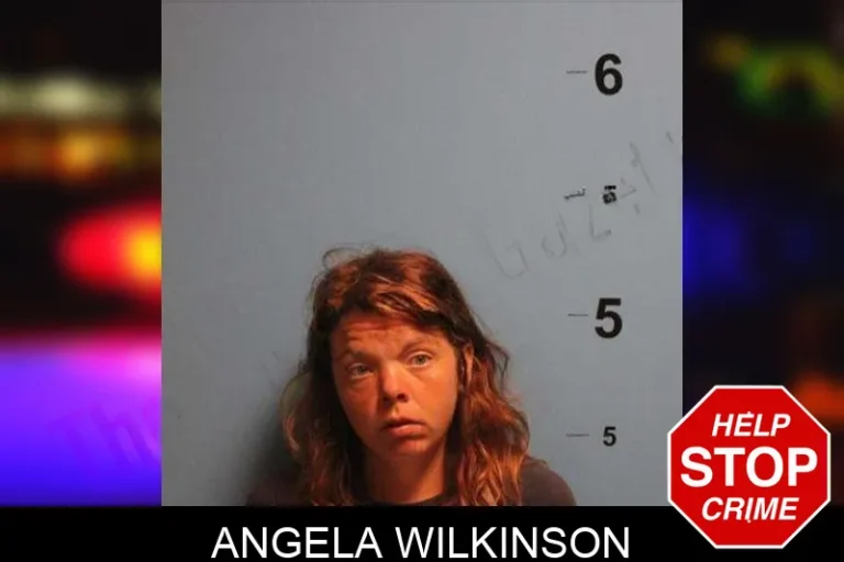 Angela Wilkinson mugshot – Monroe County , Georgia Angela Wilkinson