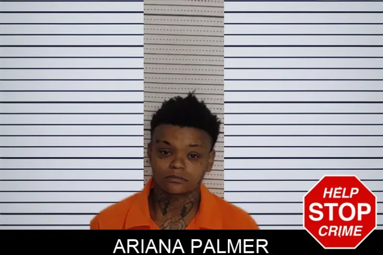 Ariana Palmer