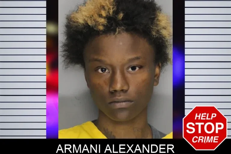 Armani Alexander mugshot – Cobb County , Georgia Armani Alexander