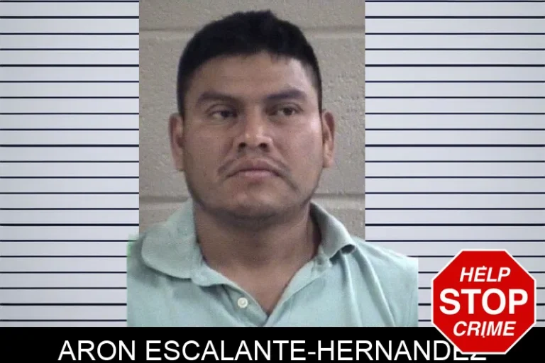 Aron Escalante-Hernandez