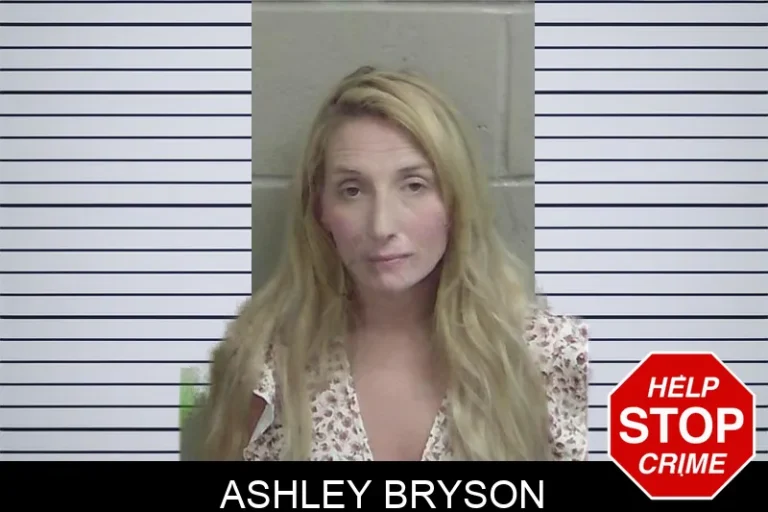 Ashley Bryson mugshot – Wayne County , Georgia Ashley Bryson