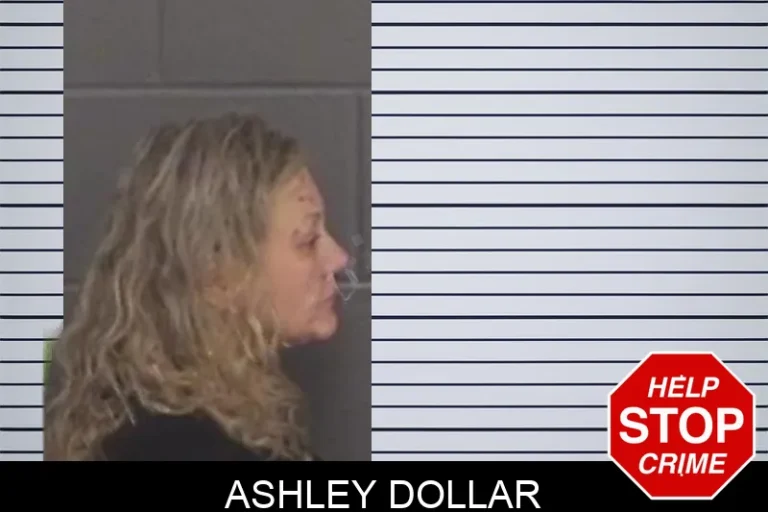 Ashley Dollar