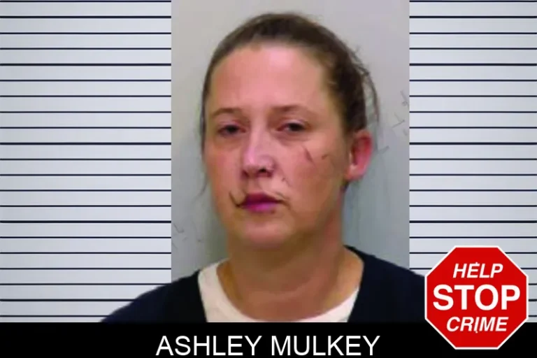 Ashley Mulkey