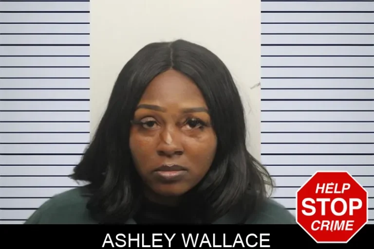 Ashley Wallace mugshot – Chatham County , Georgia Ashley Wallace