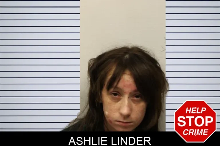 Ashlie Linder mugshot – Chatham County , Georgia Ashlie Linder