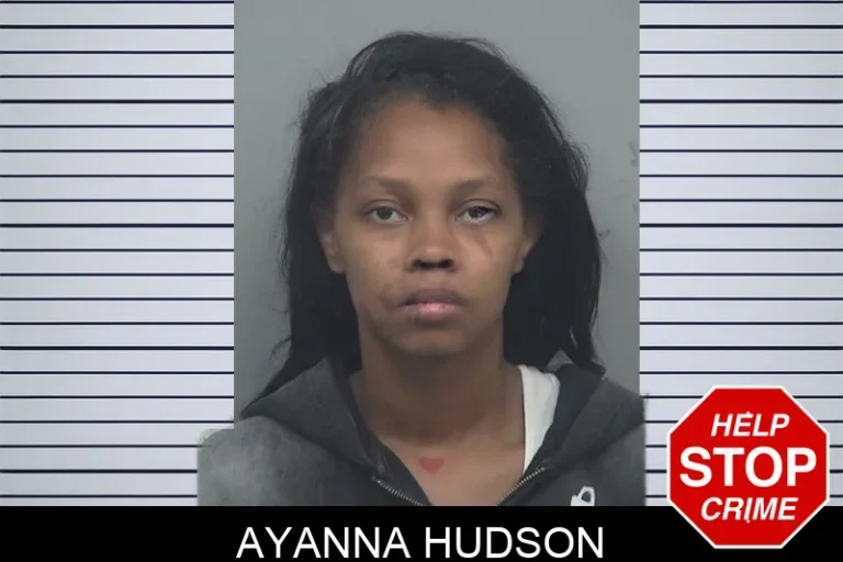Ayanna Hudson