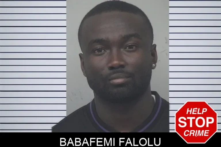 Babafemi Falolu