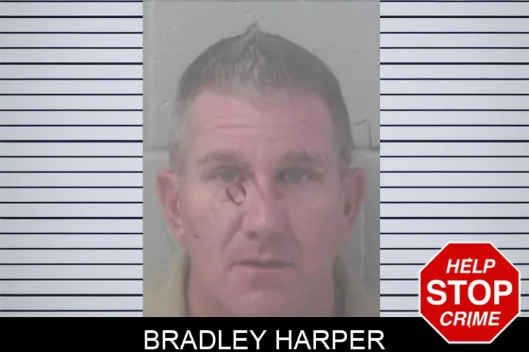 Bradley Harper