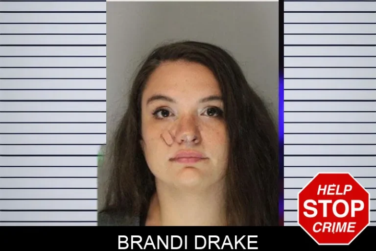 Brandi Drake mugshot – Hall County , Georgia Brandi Drake
