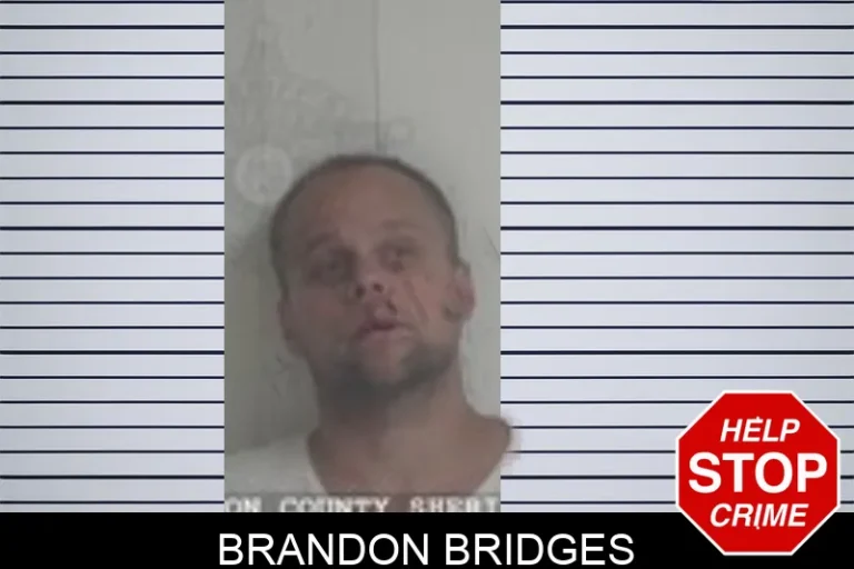 Brandon Bridges