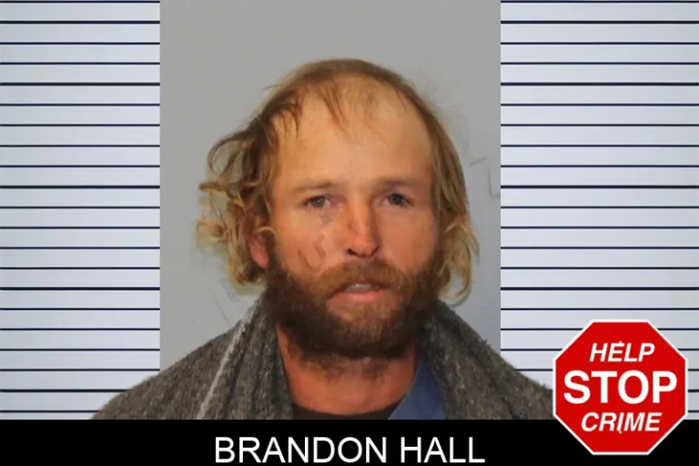 Brandon Hall mugshot – Mcintosh County , Georgia Brandon Hall