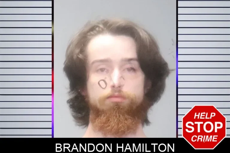 Brandon Hamilton