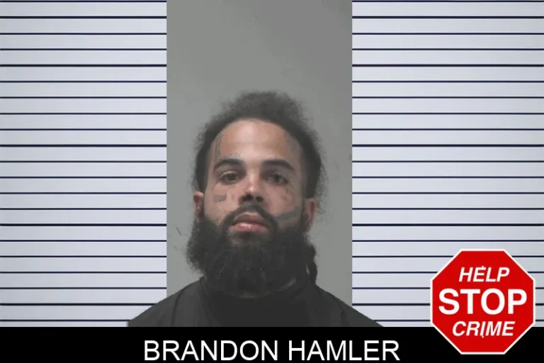 Brandon Hamler mugshot – Coweta County , Georgia Brandon Hamler