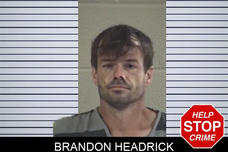 Brandon Headrick mugshot – Whitfield County , Georgia Brandon Headrick