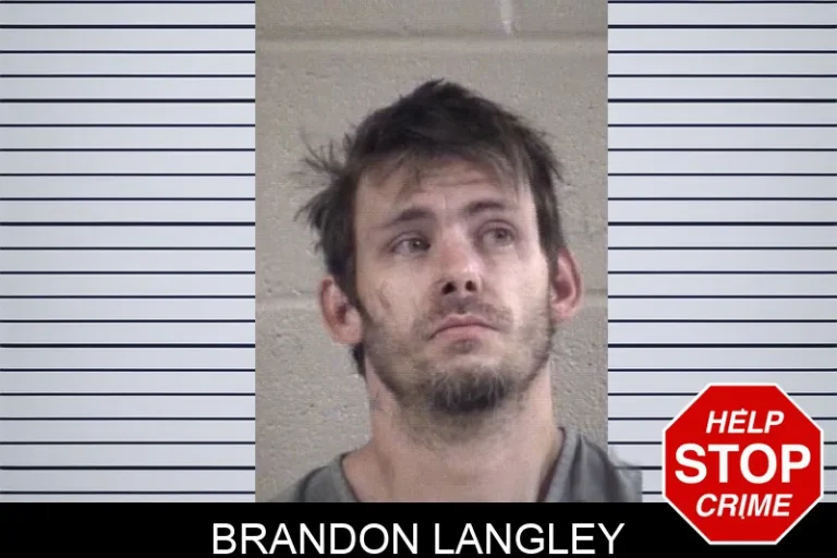 Brandon Langley