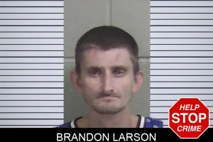 Brandon Larson mugshot