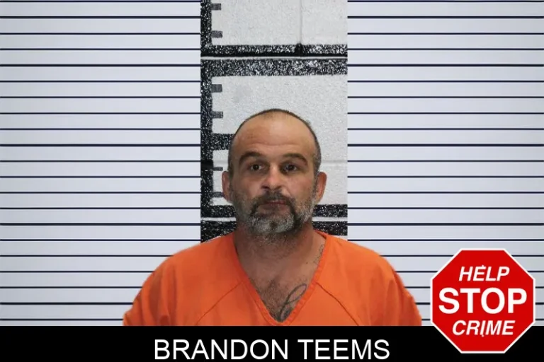 Brandon Teems mugshot – Murray County , Georgia Brandon Teems