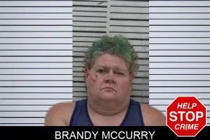 Brandy McCurry mugshot