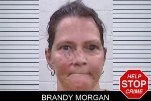 Brandy Morgan mugshot