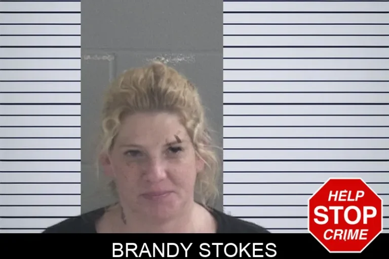 Brandy Stokes
