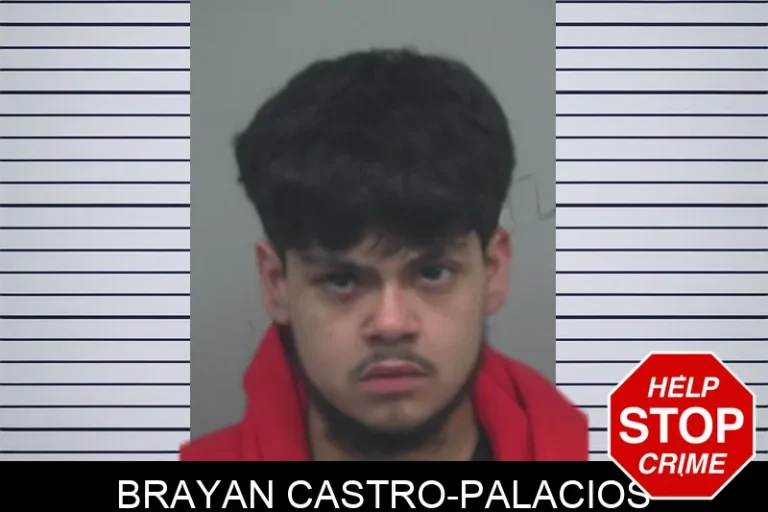 Brayan Castro-Palacios