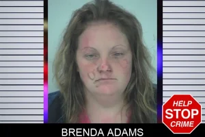 Brenda Adams mugshot