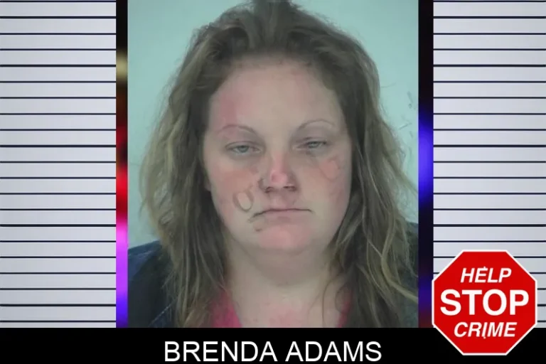 Brenda Adams