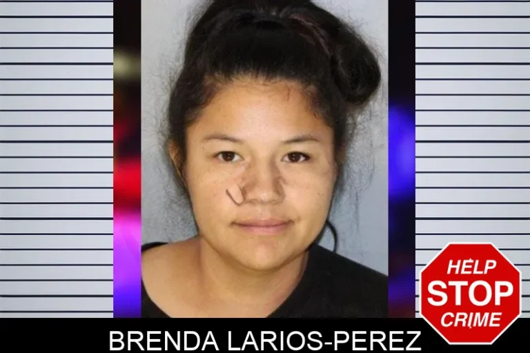 Brenda Larios-Perez