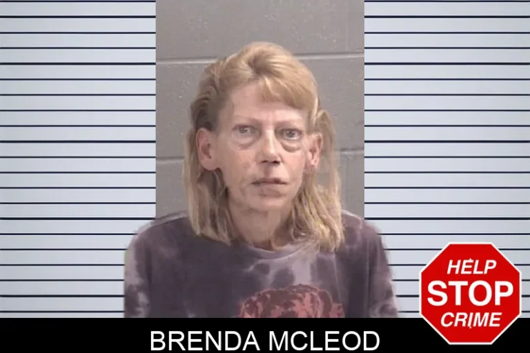 Brenda McLeod mugshot β Spalding County , Georgia Brenda McLeod