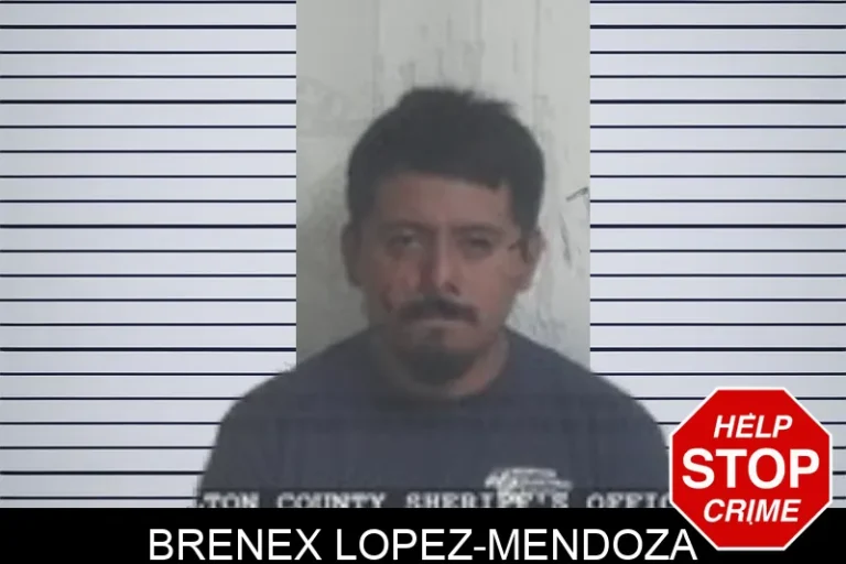 Brenex Lopez-Mendoza mugshot – Walton County , Georgia Brenex Lopez-Mendoza