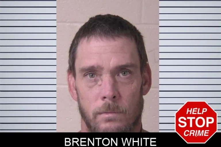 Brenton White