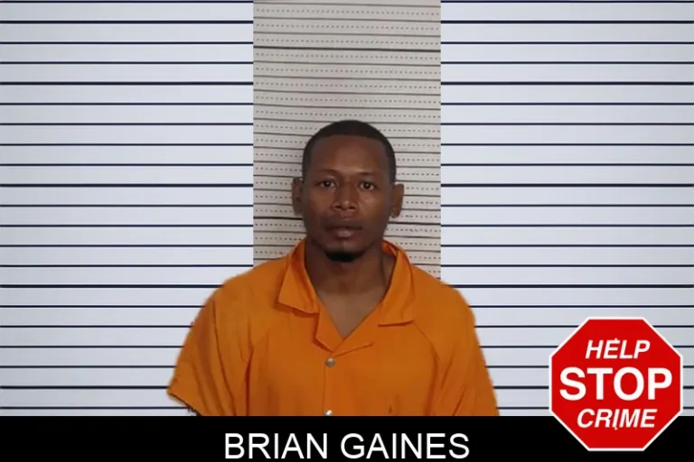 Brian Gaines