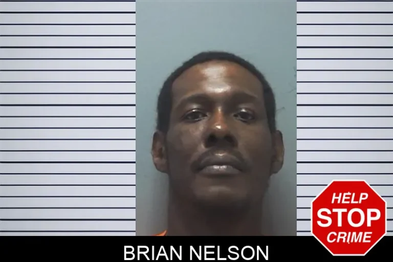 Brian Nelson mugshot – Cherokee County , Georgia Brian Nelson
