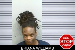 Briana Williams mugshot