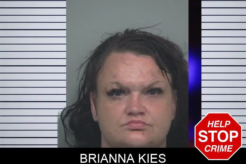 Brianna Kies mugshot – Gwinnett County , Georgia Brianna Kies mugshot