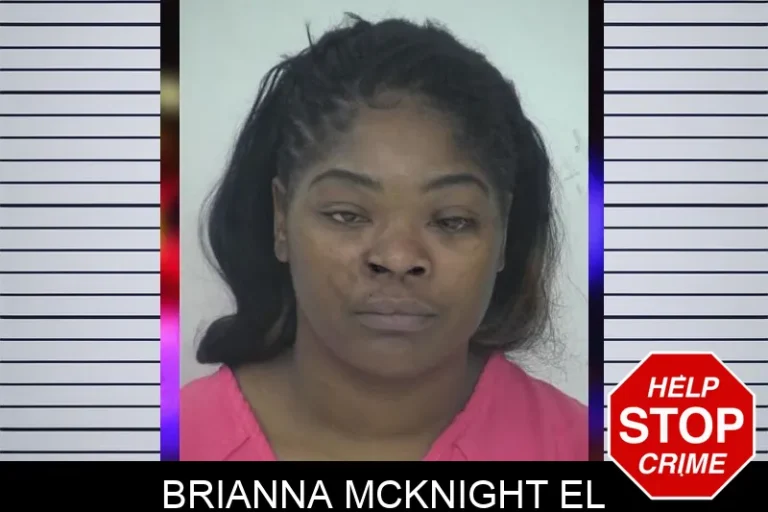 Brianna McKnight El