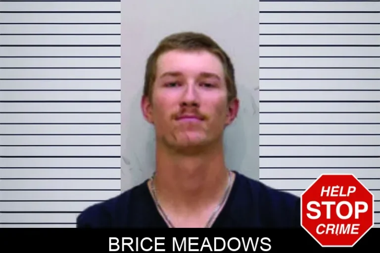 Brice Meadows