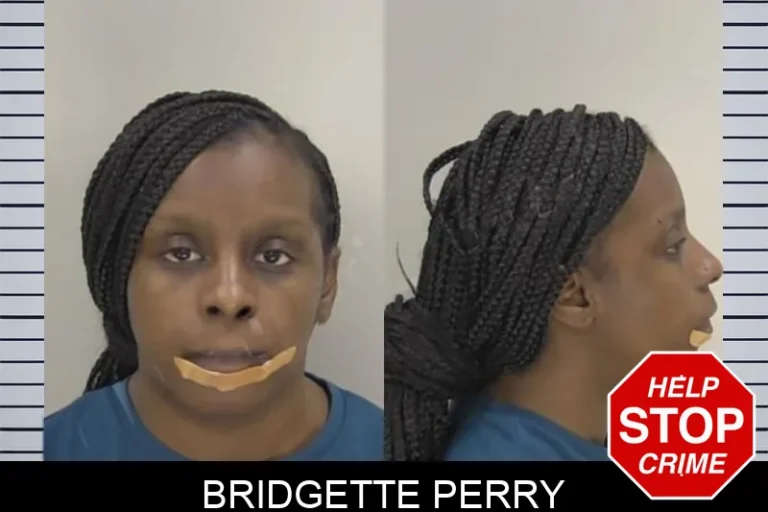 Bridgette Perry mugshot – Richmond County , Georgia Bridgette Perry