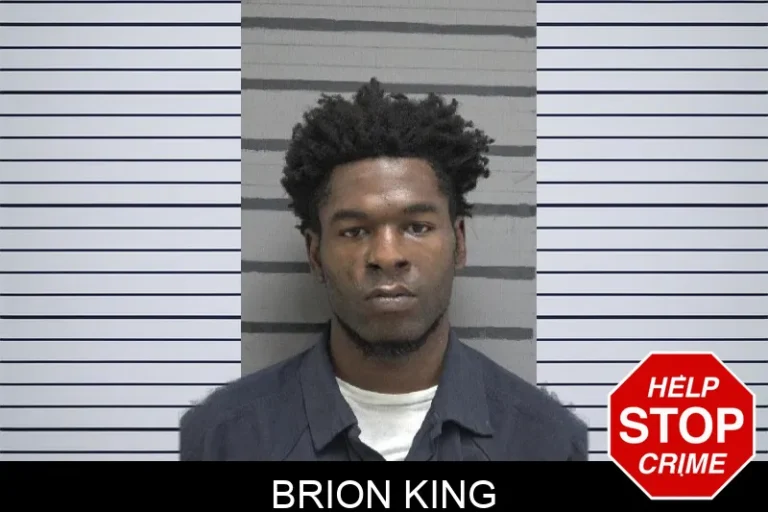 Brion King