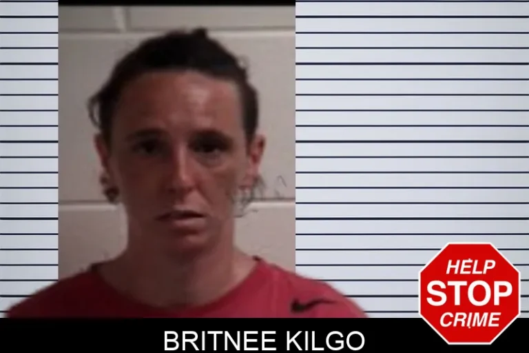 Britnee Kilgo mugshot – Henry County , Georgia Britnee Kilgo
