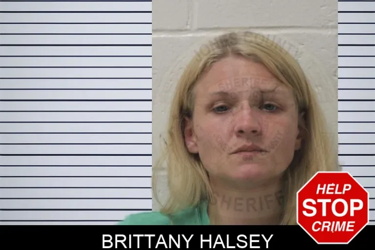 Brittany Halsey mugshot – Jones County , Georgia Brittany Halsey