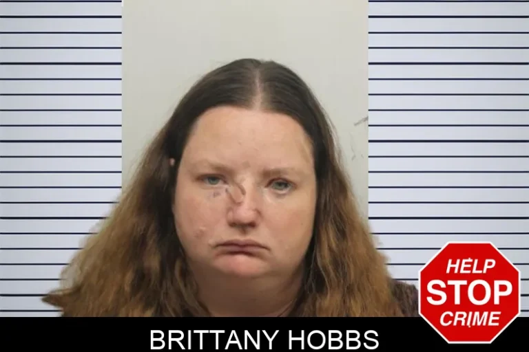Brittany Hobbs mugshot – Chatham County , Georgia Brittany Hobbs