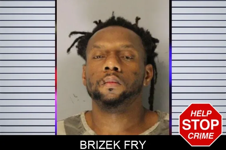 Brizek Fry