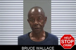 Bruce Wallace mugshot