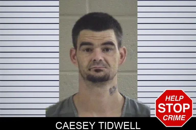 Caesey Tidwell mugshot – Whitfield County , Georgia Caesey Tidwell