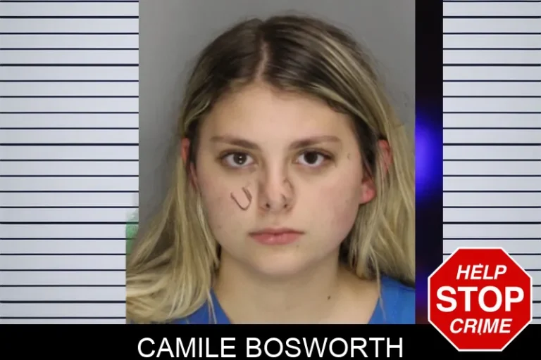 Camile Bosworth mugshot – Cobb County , Georgia Camile Bosworth